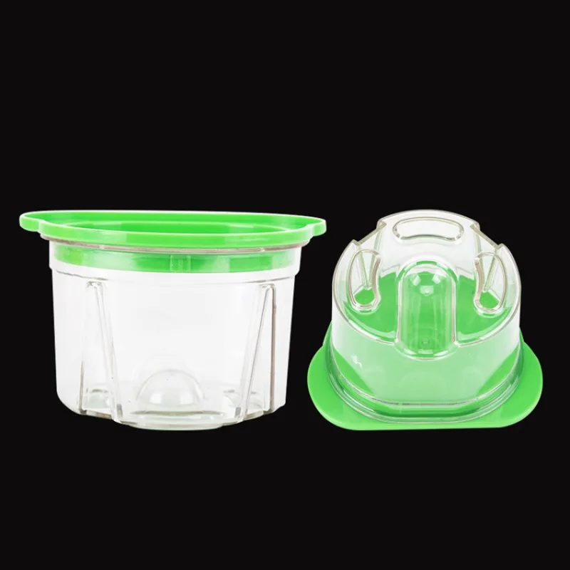 Agar Tissue Culture - 3Pcs Dental Plastic Agar Box Denture
