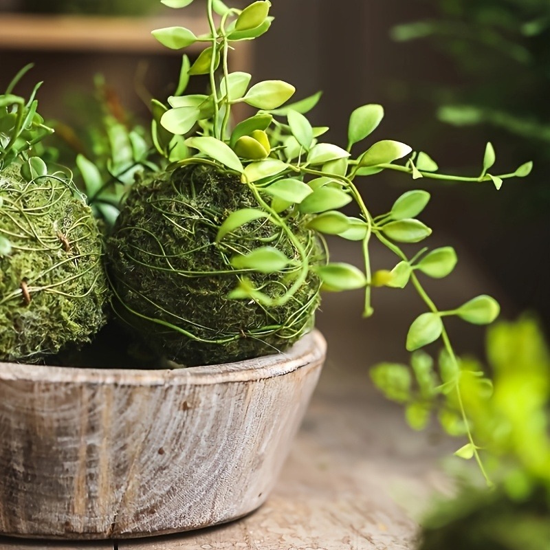 Artificial Moss Ball Planter,  - đánh giá và giá Sphagnum Moss Dry