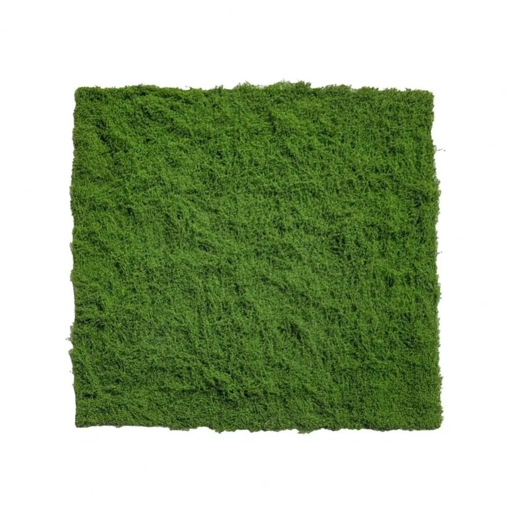 DIY Artificial Grass Rug Durab - đánh giá và giá Sphagnum Moss Dry