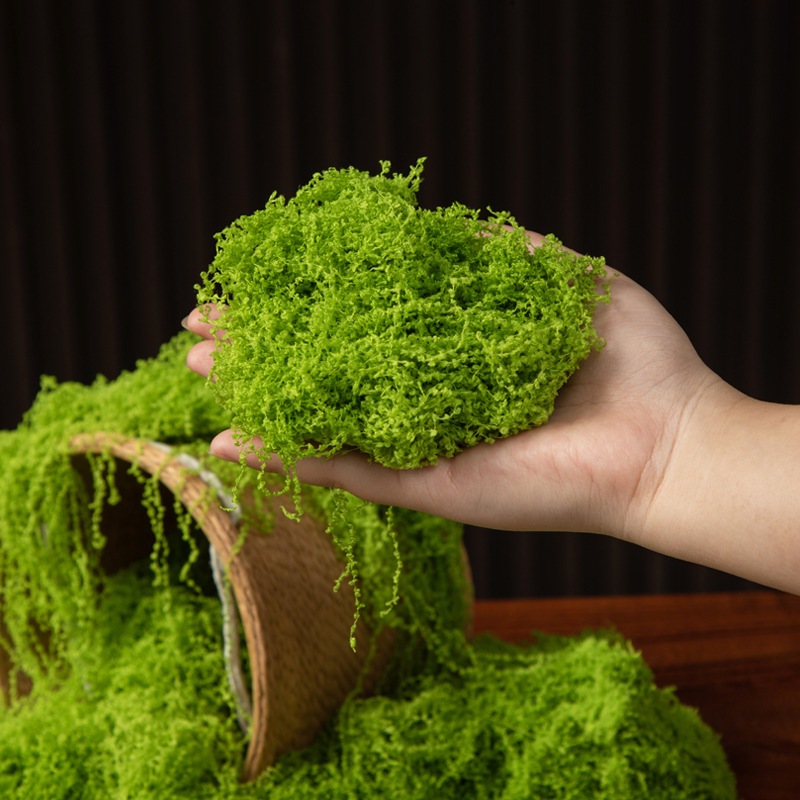 200g Eternal Life Moss DIY Cra - đánh giá và giá Sphagnum Moss Dry