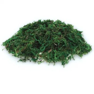 1Pack Natural-Looking Fake Mos - đánh giá và giá Sphagnum Moss Dry