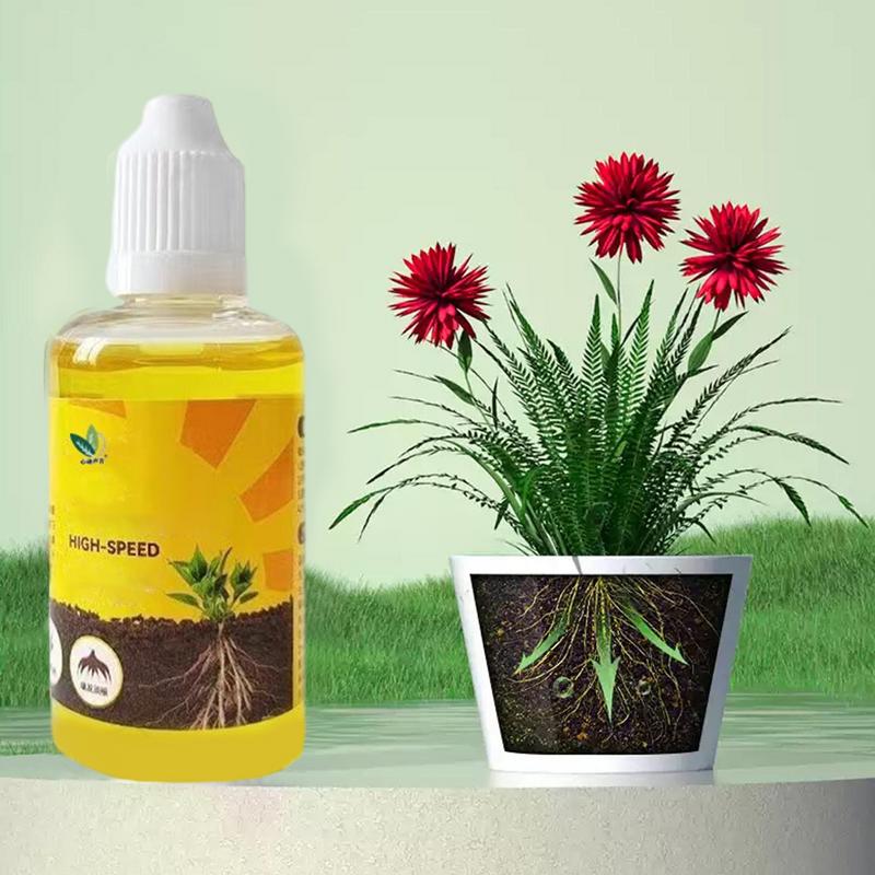 50ml Plant Root Stimulator Liq - đánh giá và giá Root Stimulator Liquid