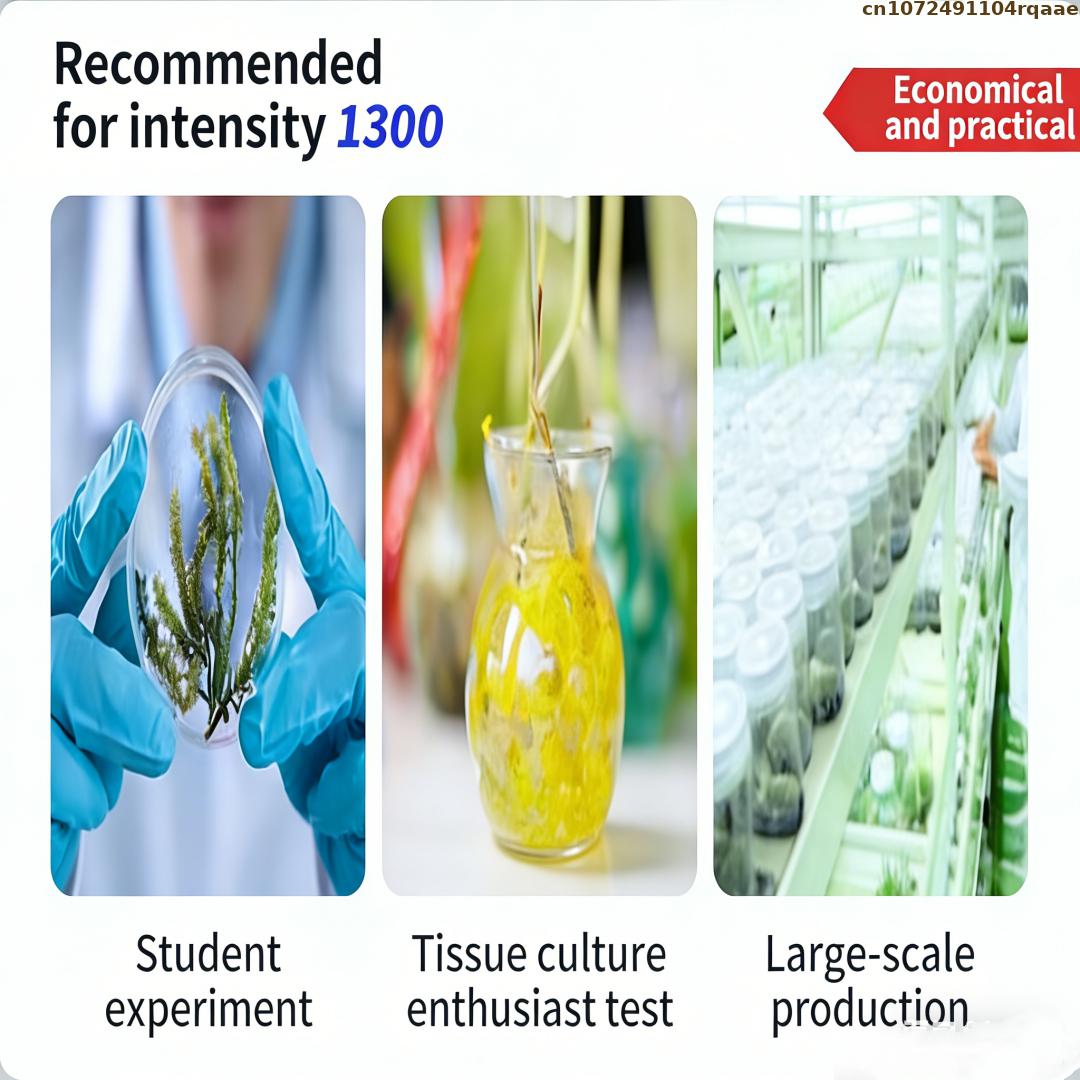 Premium Plant Tissue Culture A - đánh giá và giá Agar Tissue Culture