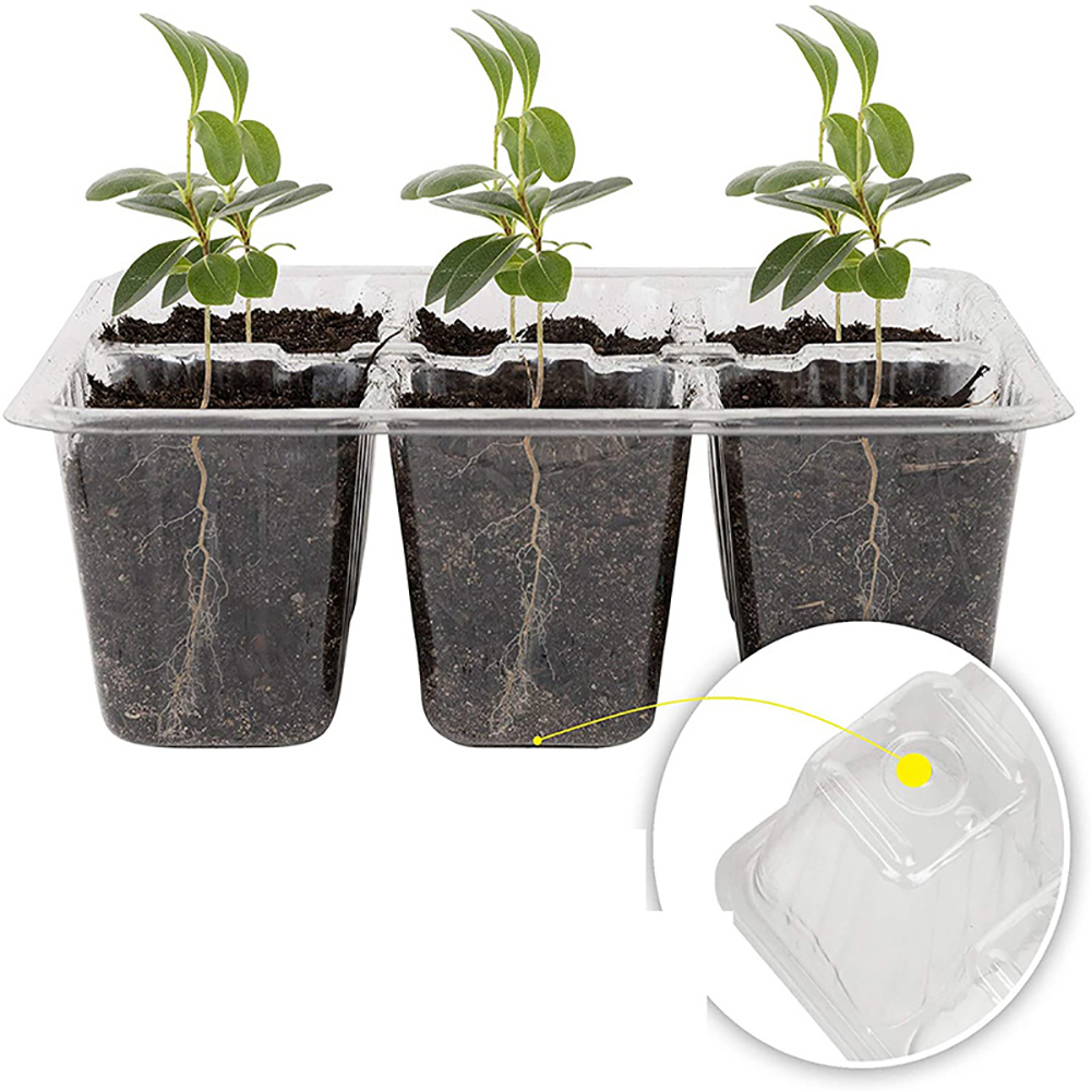 Seed Starter Trays with Grow L - đánh giá và giá Humidity Dome Kit