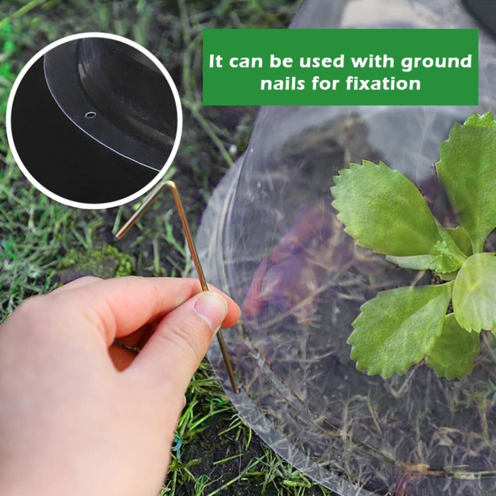 Reusable Clear Plastic Seedlin - đánh giá và giá Plastic Dome Clear