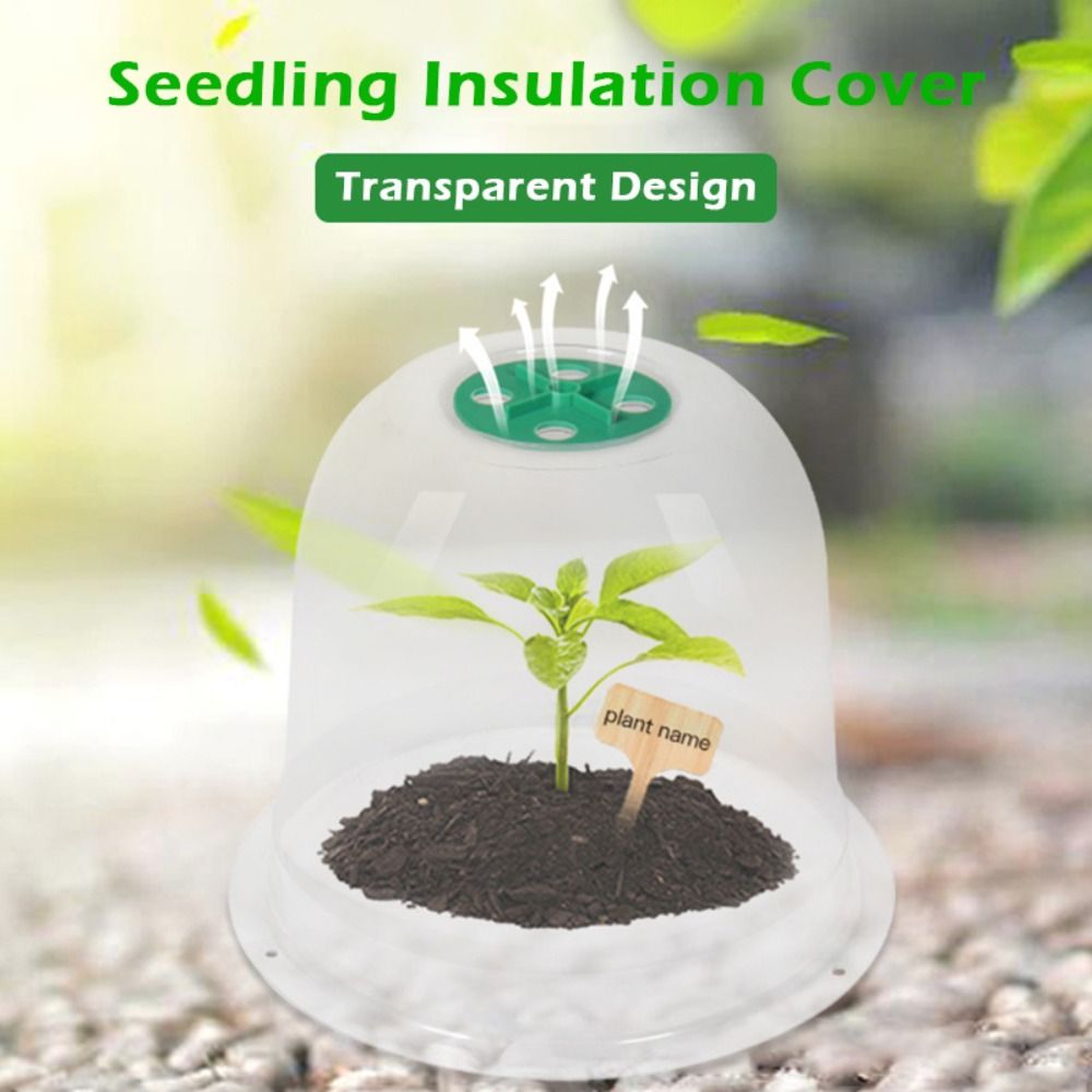 Reusable Clear Plastic Seedlin - đánh giá và giá Plastic Dome Clear