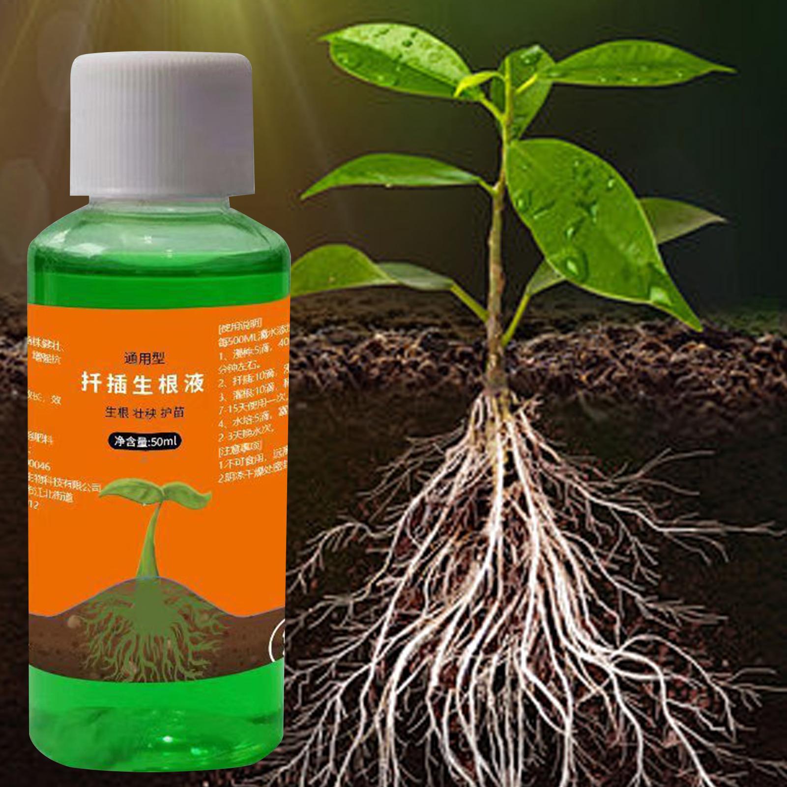 High-Efficiency Root Stimulato - đánh giá và giá Root Stimulator Liquid