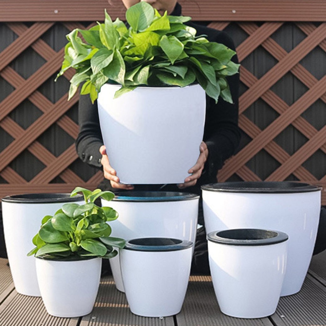 Cây Tự Động Tưới Hoa Cây Nồi G - đánh giá và giá Self Watering Insert
