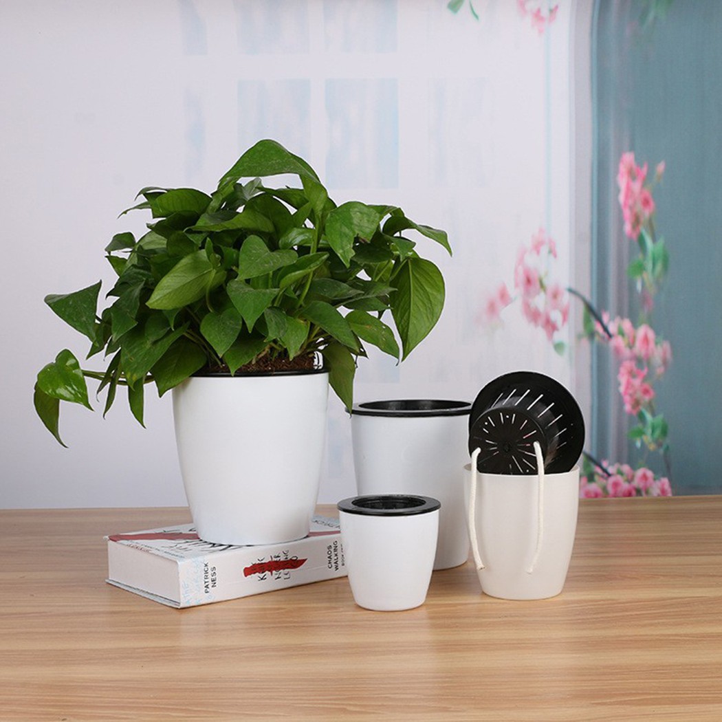 Cây Tự Động Tưới Hoa Cây Nồi G - đánh giá và giá Self Watering Insert