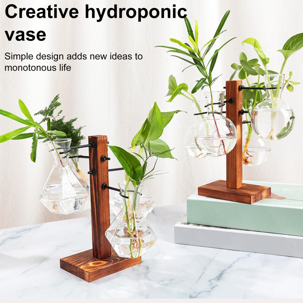 1 Set 10*25cm Plants Propagati - đánh giá và giá Propagation Station Vase