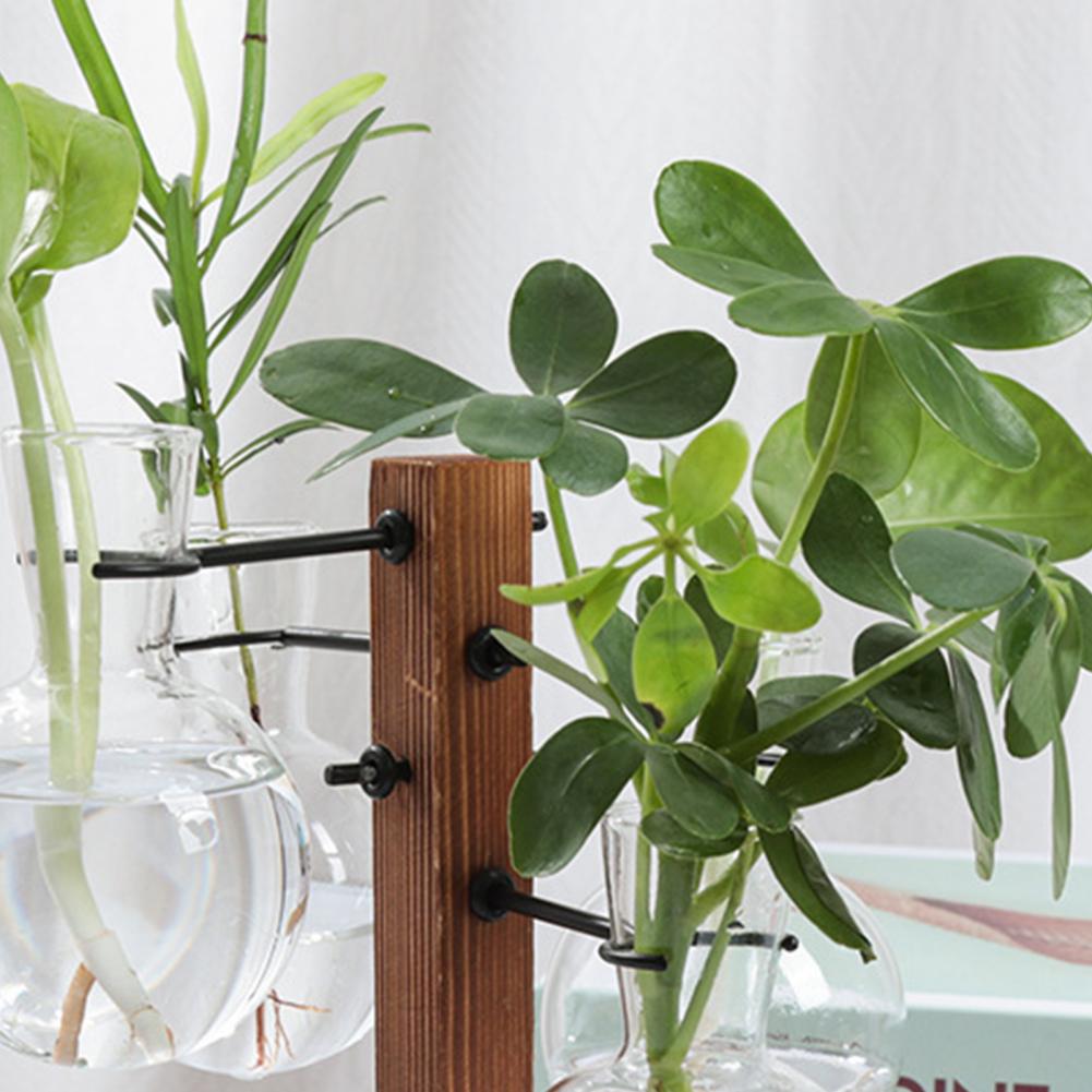 1 Set 10*25cm Plants Propagati - đánh giá và giá Propagation Station Vase
