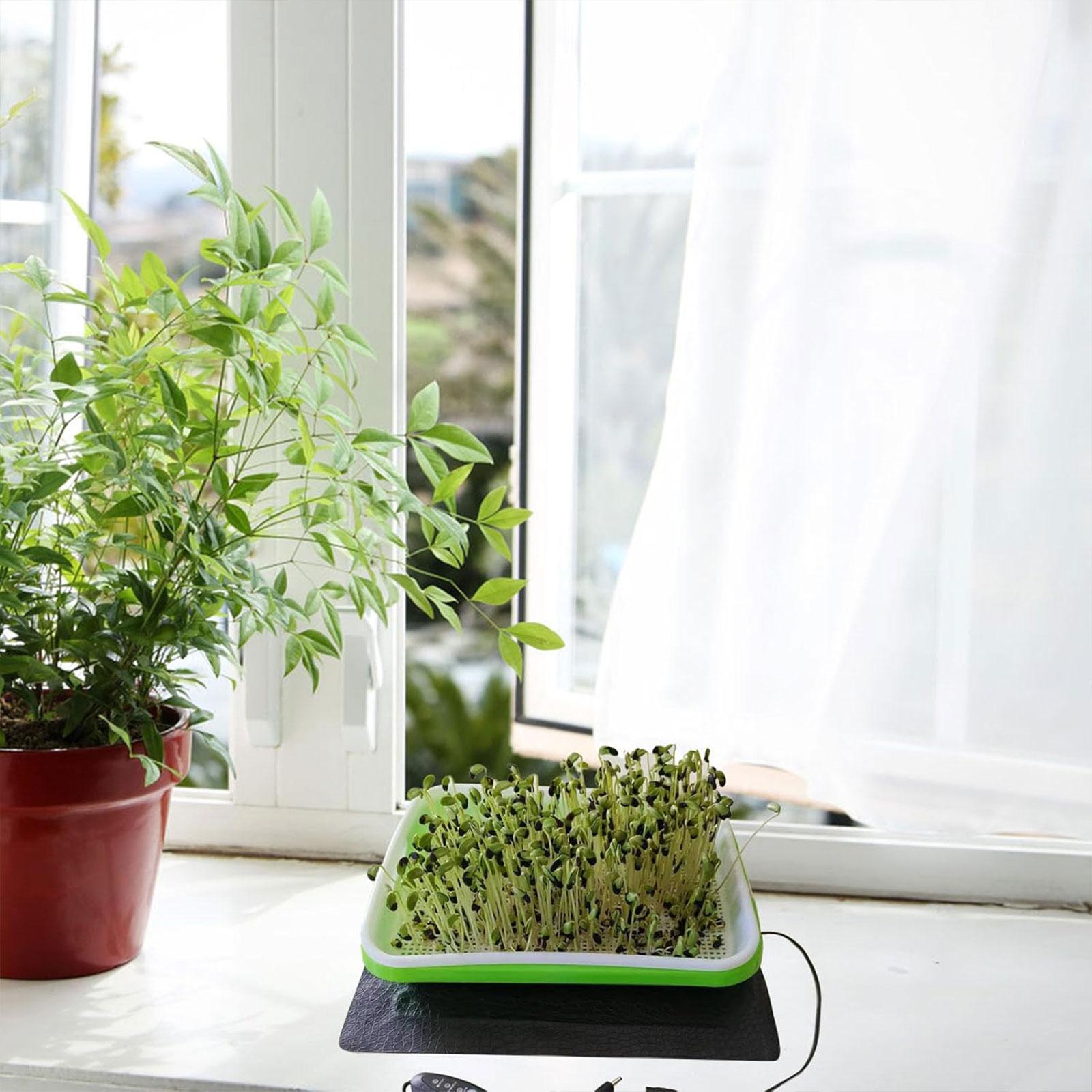 Hydroponic Heat Mat for Seedli - đánh giá và giá Heat Mat Seedling