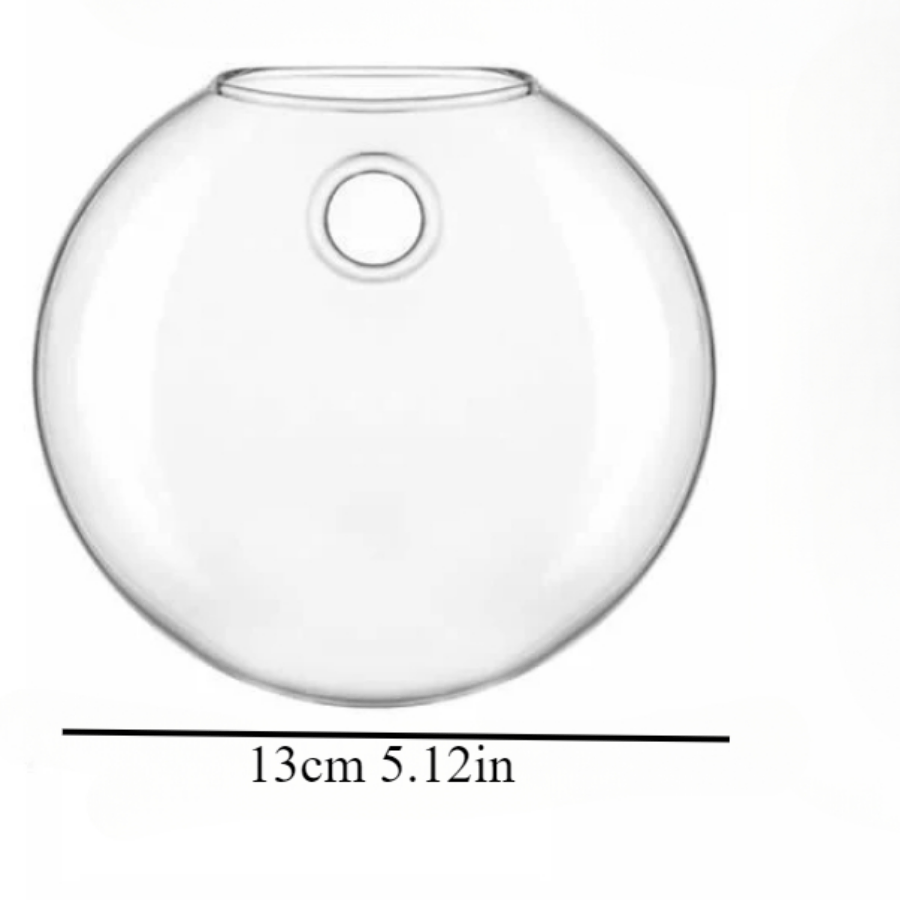 Wall Hanging Glass Plant Terra - đánh giá và giá Propagation Station Vase