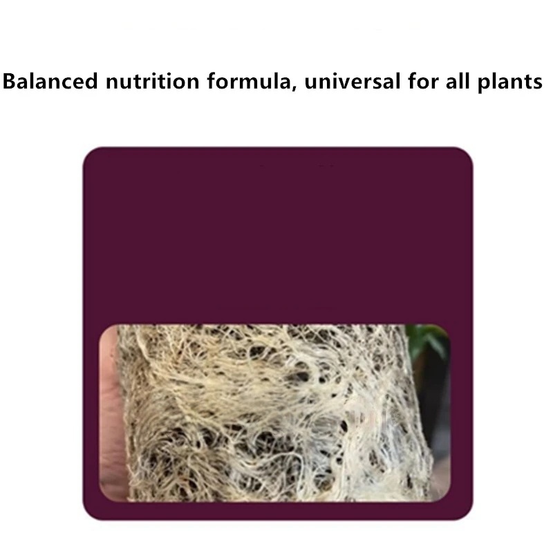 2bags Rooting Hormone Powder U - đánh giá và giá Rooting Hormone Powder