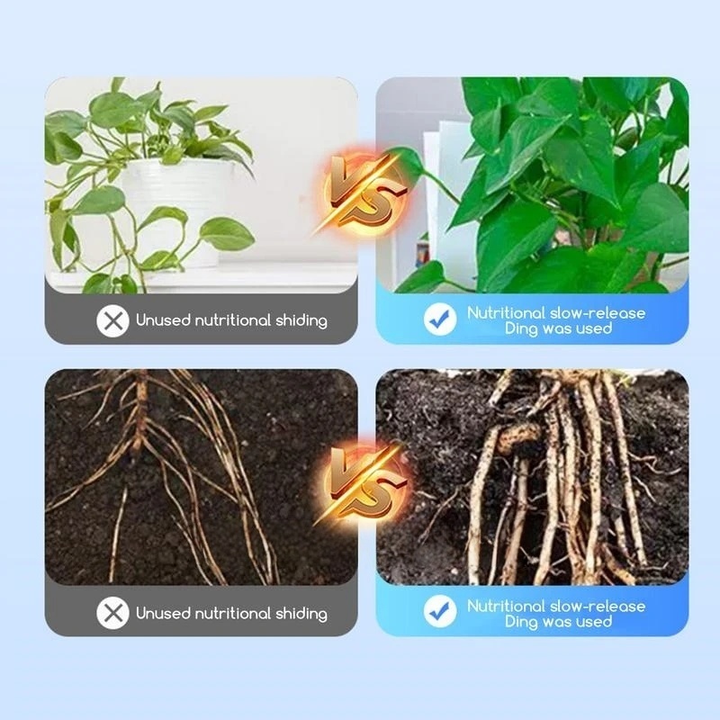 2bags Rooting Hormone Powder U - đánh giá và giá Rooting Hormone Powder